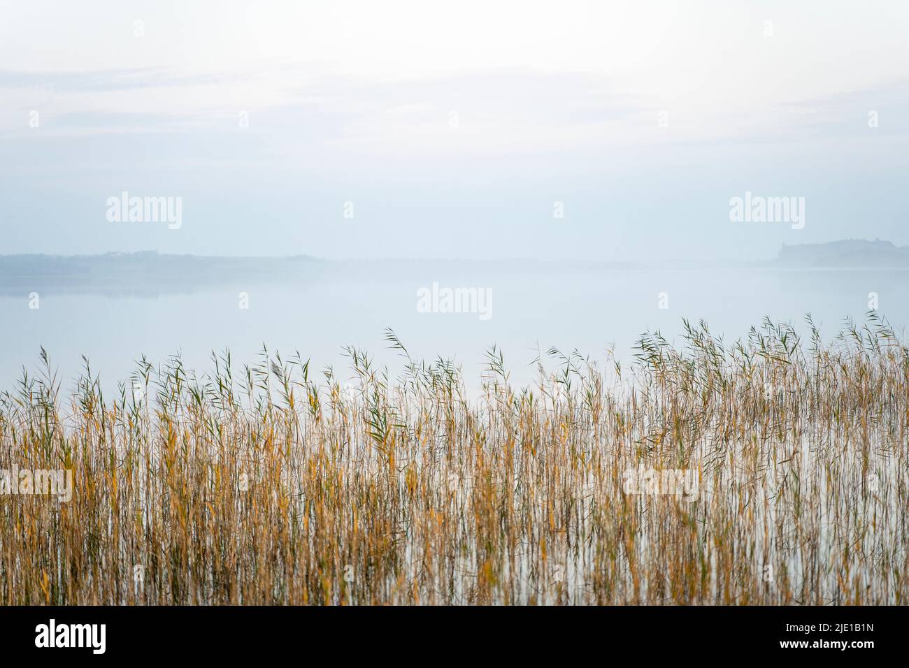 Misty morning mood at Lake in Klitmøller, Denmark Stock Photo