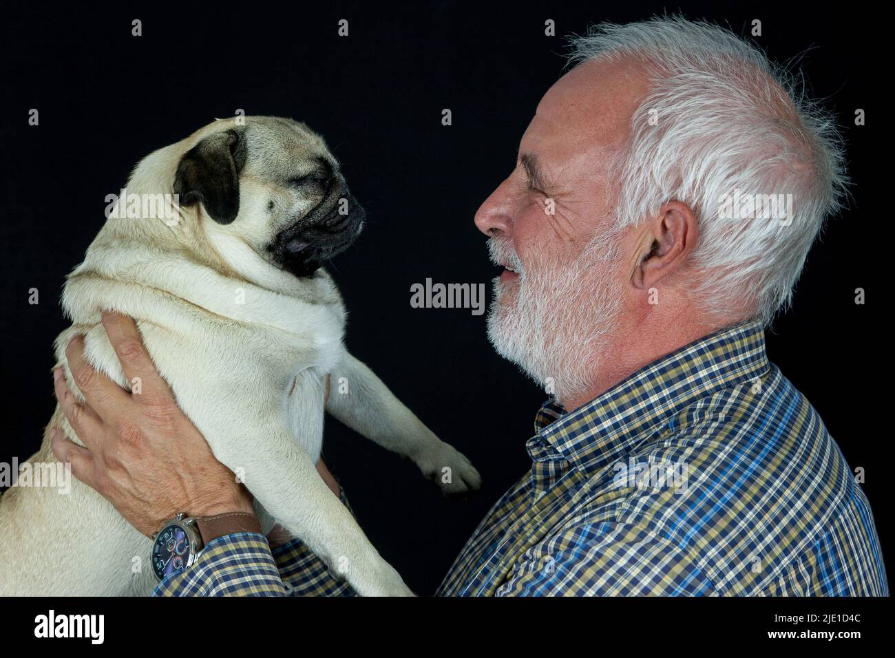 An elderly man holds his pug up in both hands and looks at him with a smile. Stock Photo