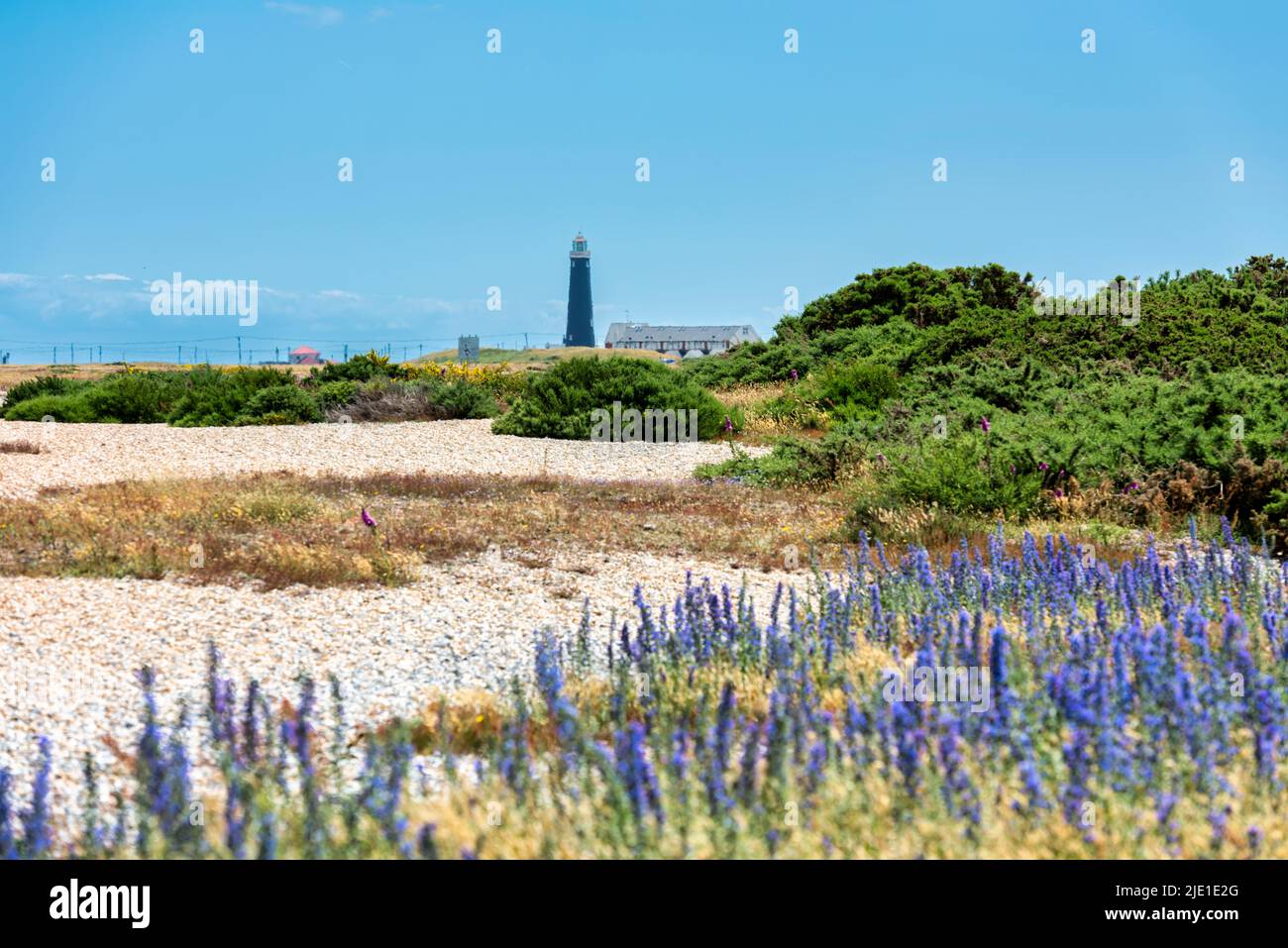 The old lighthouse at Dungeness in Kent viewed from the Nature reserve Stock Photo