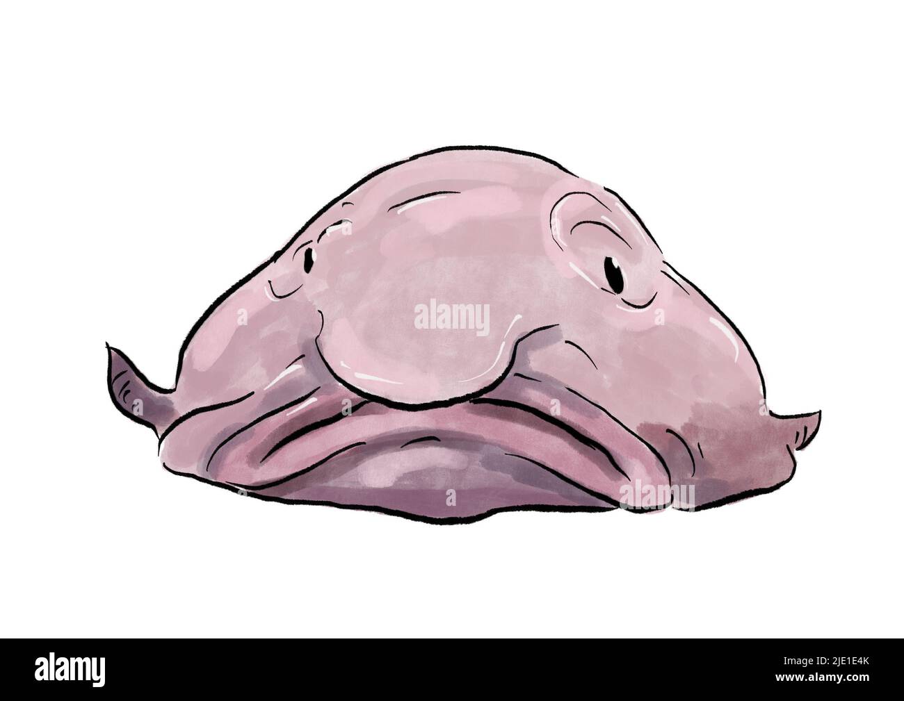 Blob fish stock vector. Illustration of bathypelagic - 89120181