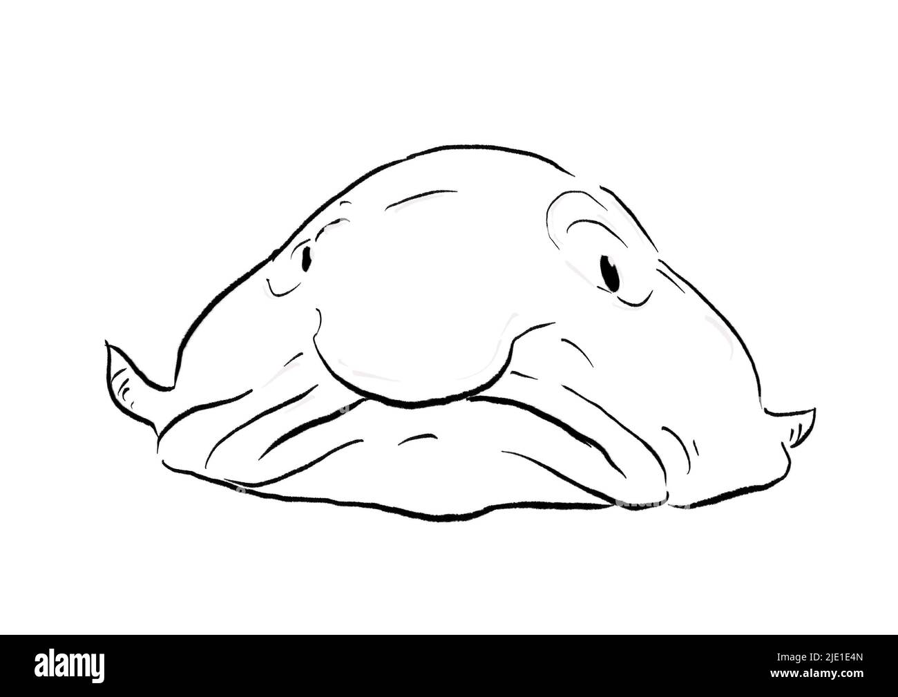 Blobfish, Funny Deep-sea Fish. Vector Illustration in Doodle Style Stock  Vector - Illustration of anime, seafood: 191525980