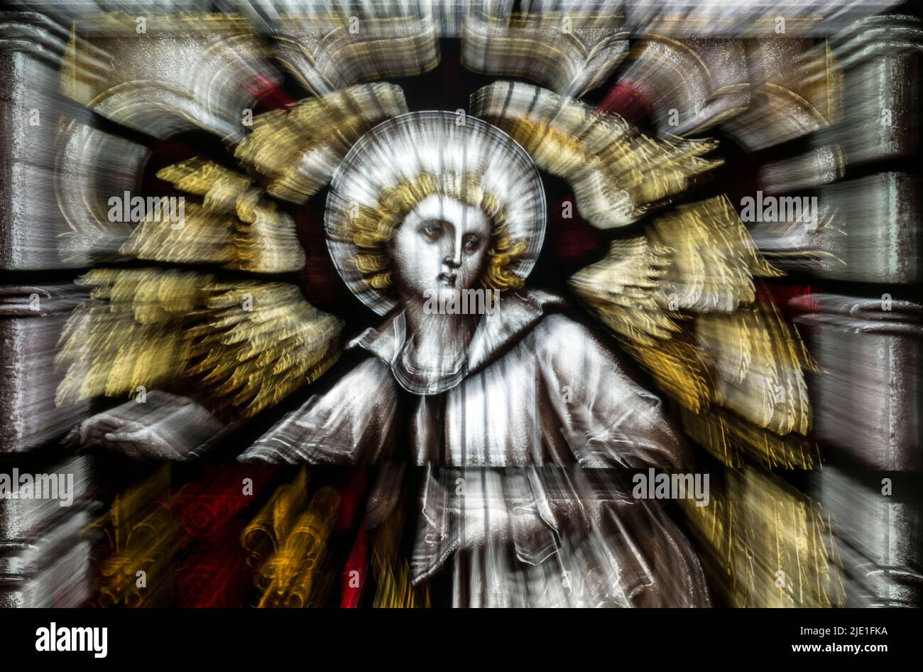 Angel stained glass zoom. Stock Photo