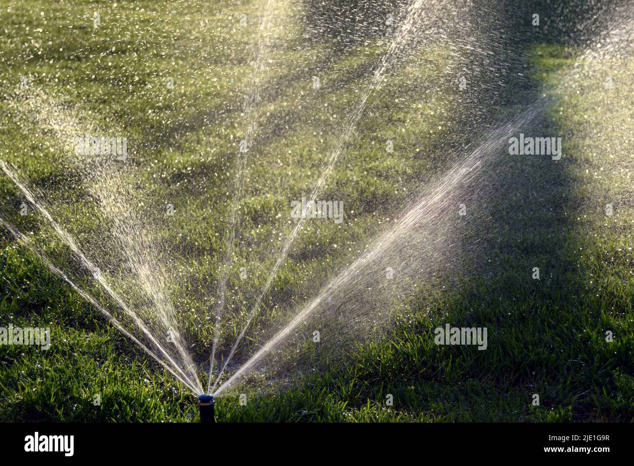 Automatic water sprinklers on green lawn Stock Photo Alamy