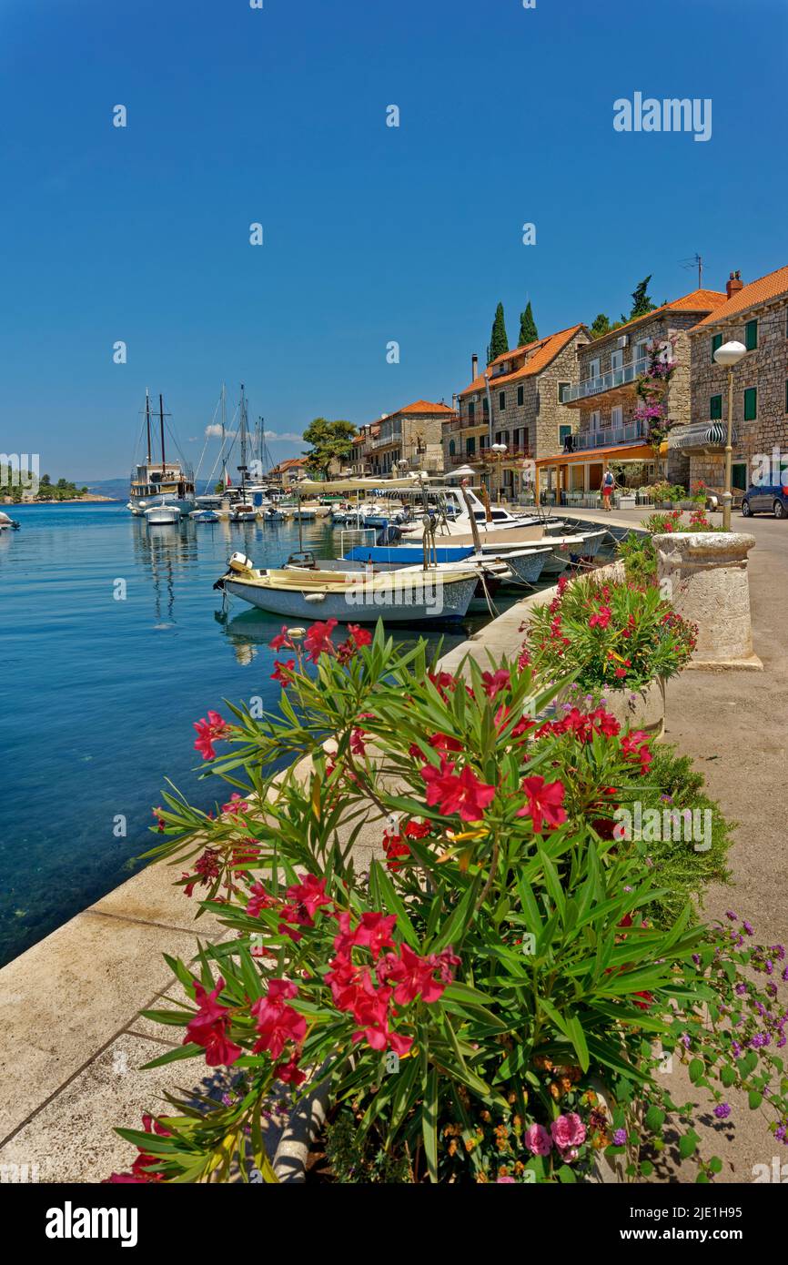 Inner Harbour at Stomorska village on the island of Solta, Croatia. Stock Photo