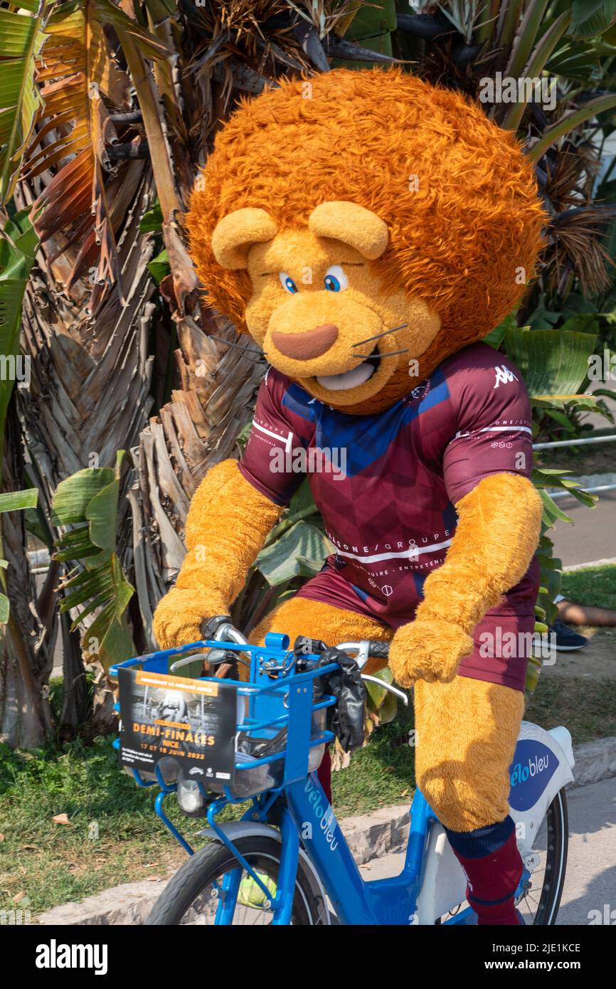 French Rugby Mascot Nice France Stock Photo - Alamy
