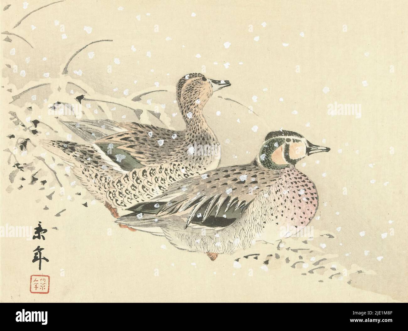 Couple of ducks in the snow, Floral and bird sketches by Keinen (series title), Keinen kacho gafu (series title on object), print maker: Imao Keinen, (mentioned on object), printer: Aoki Kôsaburô, publisher: Aoki Kôsaburô, (mentioned on object), print maker: Japan, printer: Osaka, publisher: Osaka, Nov-1892, paper, color woodcut, height 209 mm × width 275 mm Stock Photo