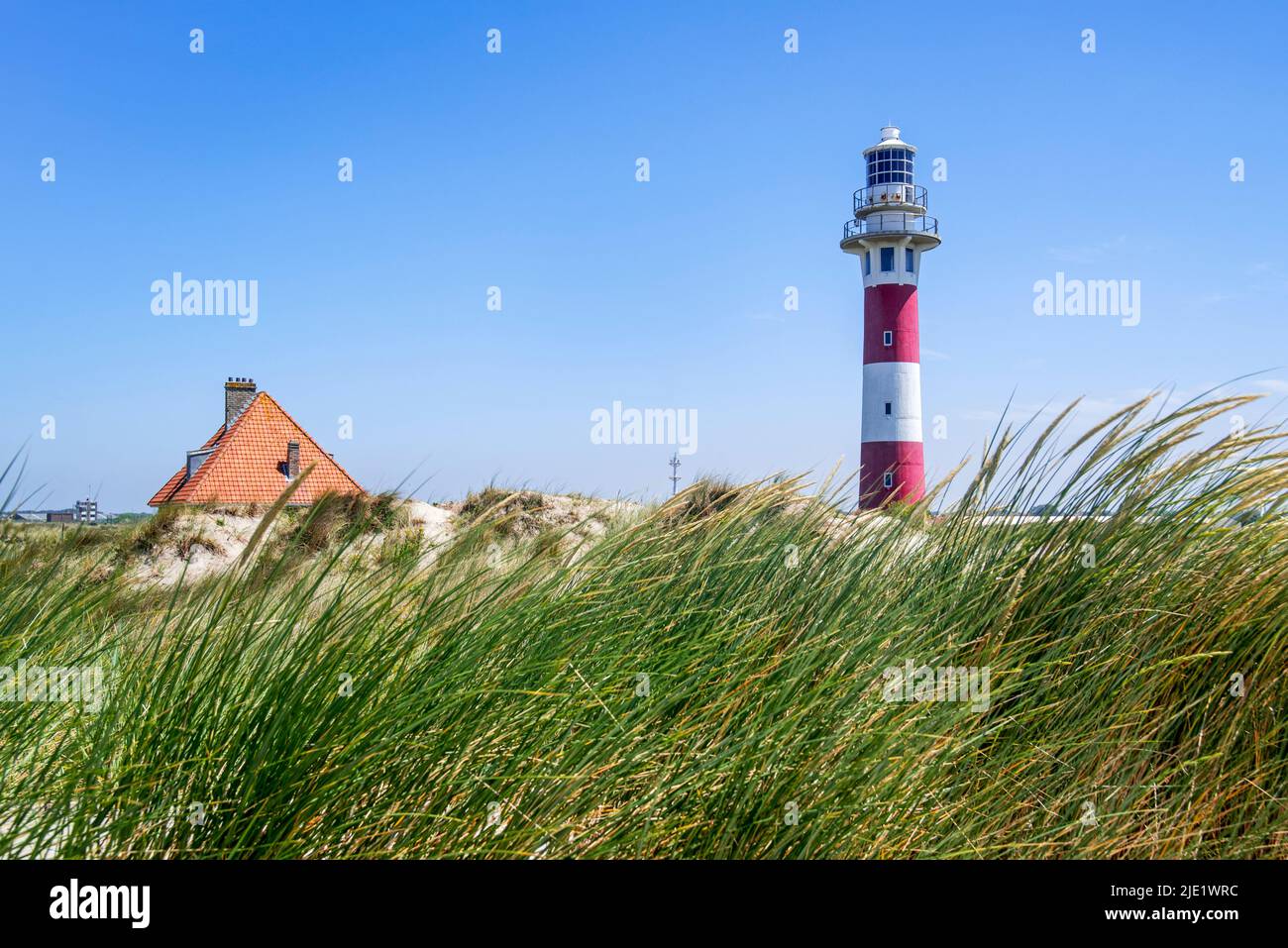 Lighthouse and lighthouse keeper / lightkeeper's house in the dunes of nature reserve De IJzermonding at Nieuwpoort / Nieuport, West Flanders, Belgium Stock Photo