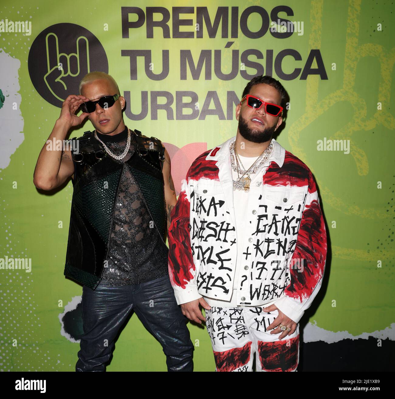 Fake Puerto Rico Id