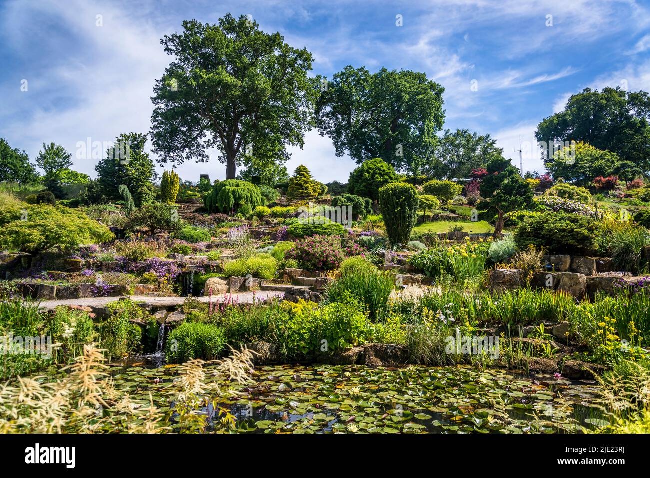 the-rock-garden-rhs-wisley-gardens-surrey-england-uk-stock-photo