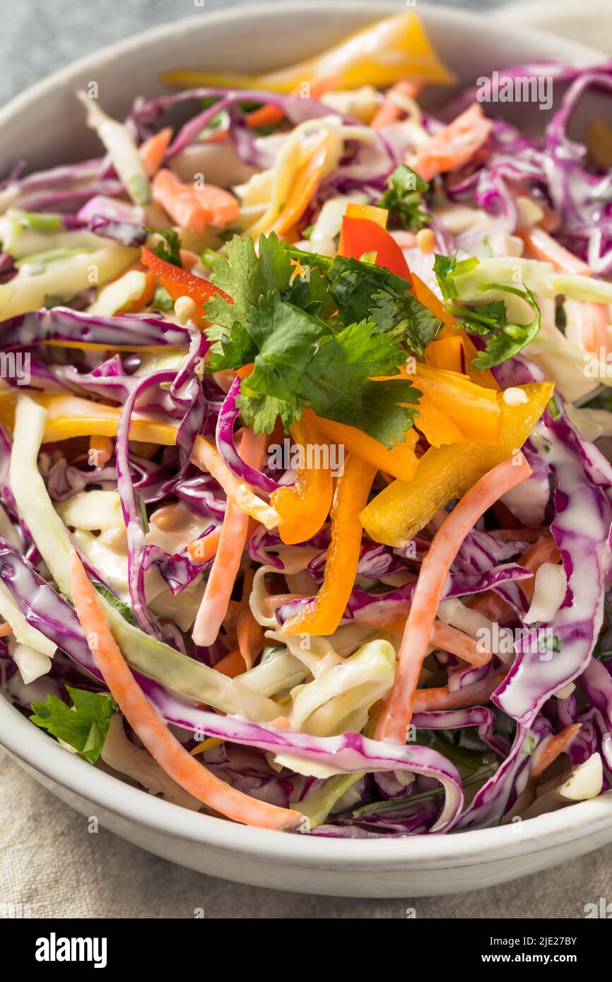 Homemade Organic Coleslaw Salad with Cabbage and Carrots Stock Photo ...