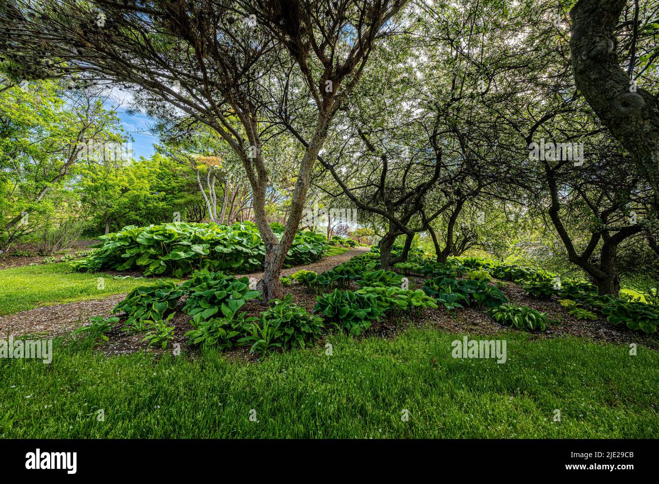 Arboretum and Botanical Garden in Moscow, Idaho Stock Photo Alamy
