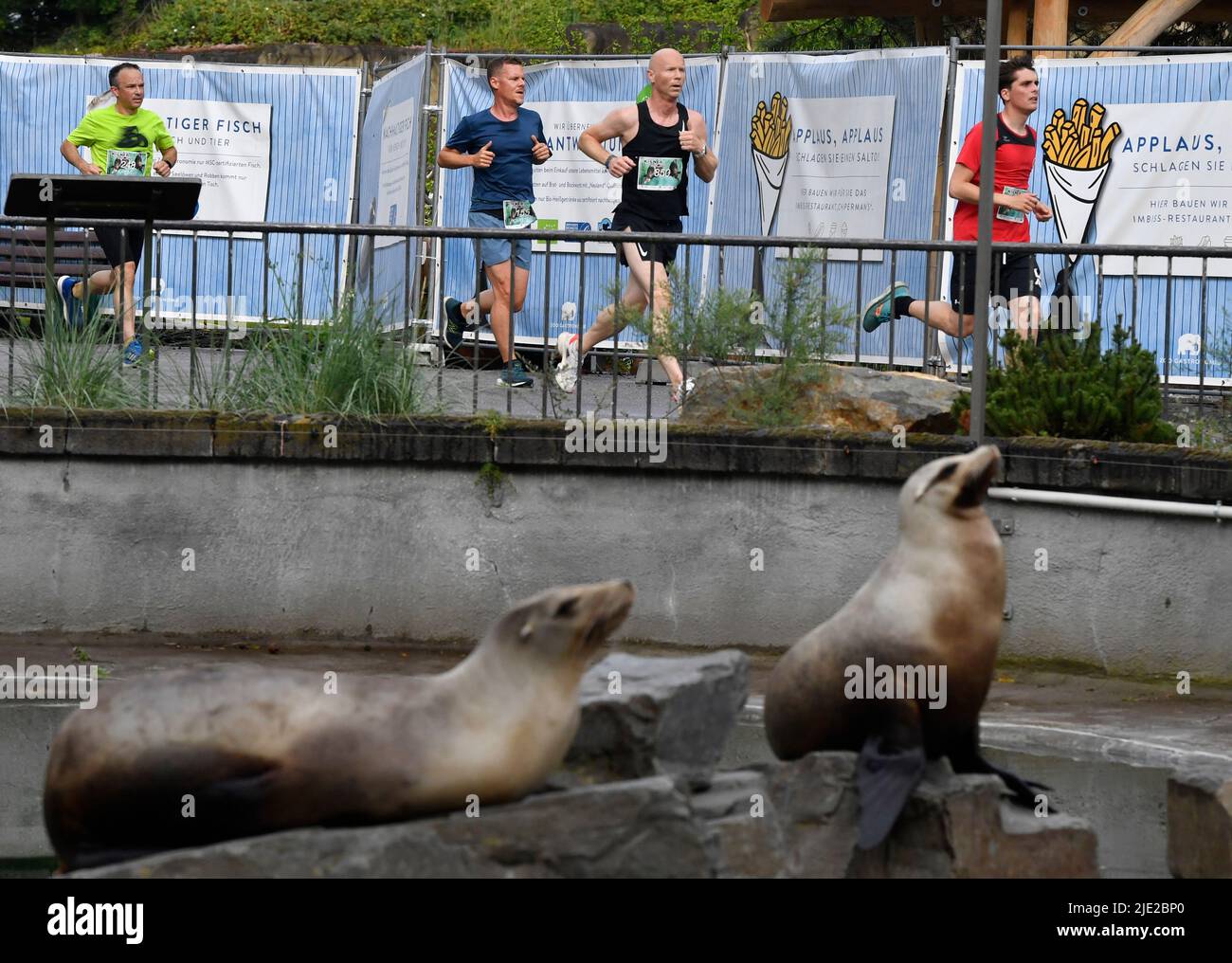 Cologne, Germany. 24th June, 2022. Athletes run past sea lions at the