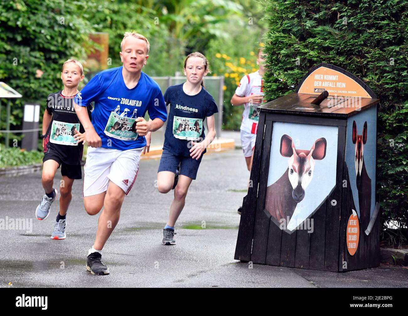 Cologne, Germany. 24th June, 2022. Young athletes run at the zoo. At
