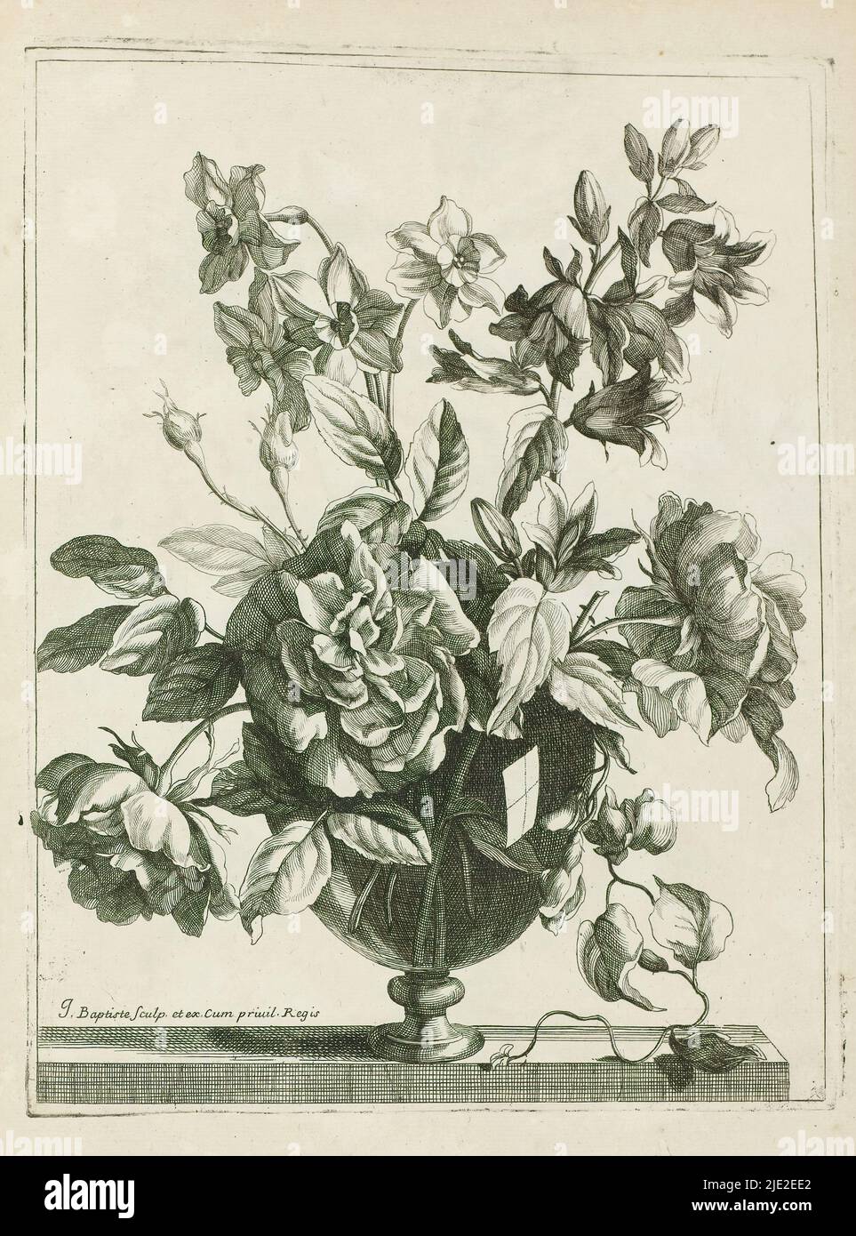 Bouquet in glass vase, Les Vases Diaphanes (series title), Bouquet in glass vase. Print is part of an album., print maker: Jean Baptiste Monnoyer, (mentioned on object), after design by: Jean Baptiste Monnoyer, publisher: Jean Baptiste Monnoyer, (mentioned on object), Paris, c. 1680 - c. 1695, paper, etching, height 282 mm × width 217 mm Stock Photo