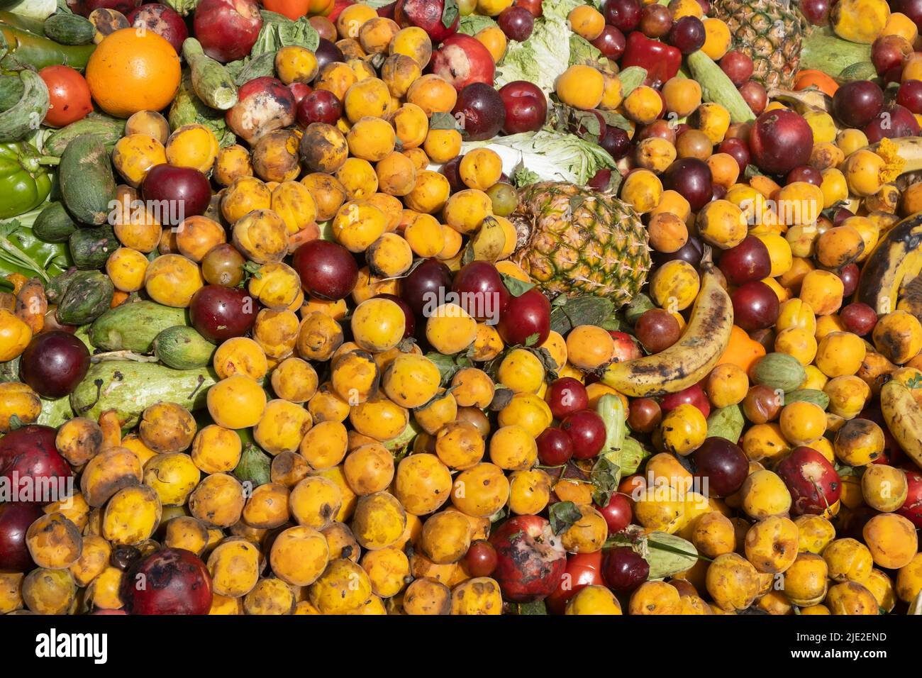 Mix of Expired Vegetables and exotic fruits. Heap of denied Organic
