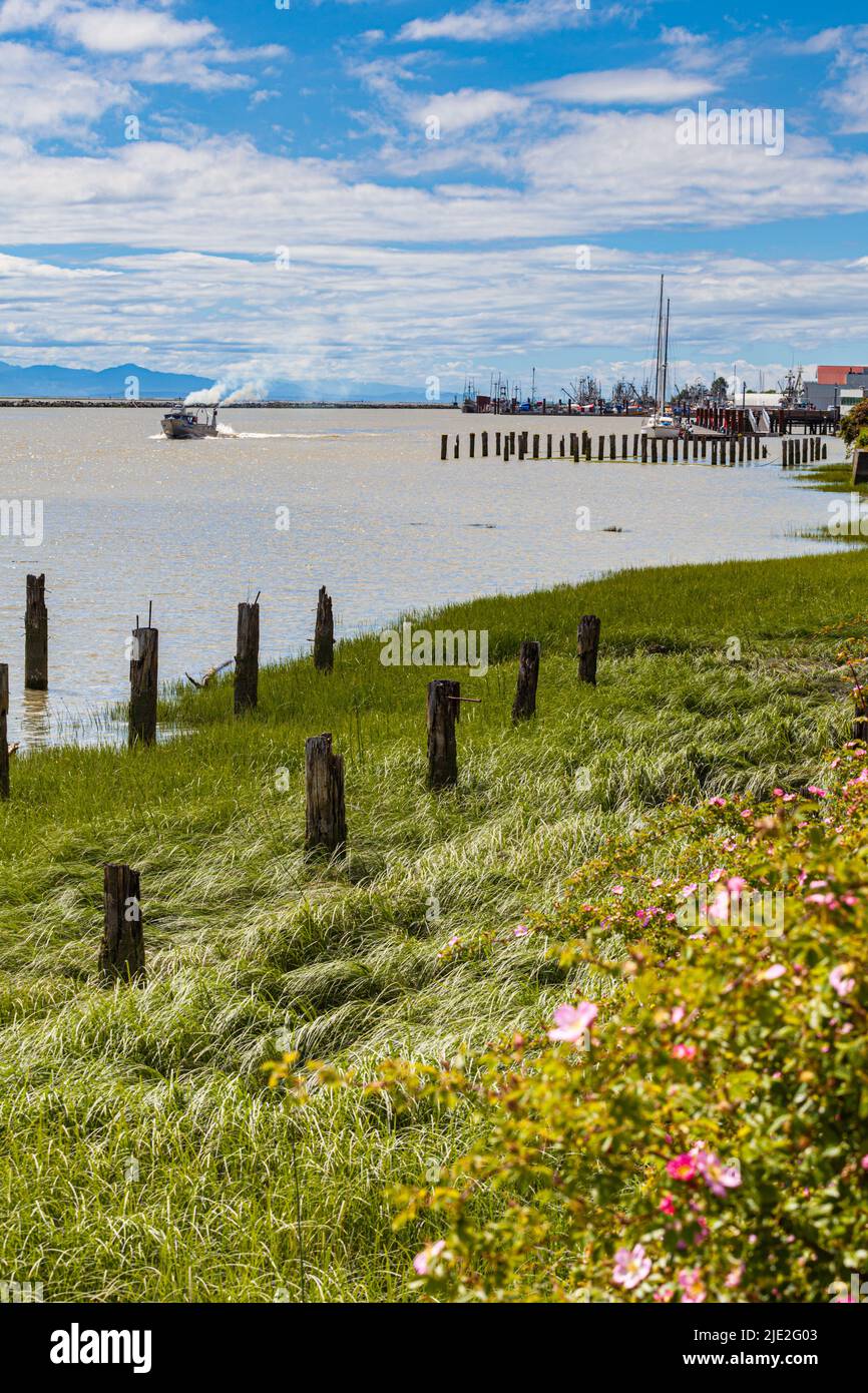 Small commercial fishing vessel returning to Steveston Harbour in British Columbia Canada Stock Photo
