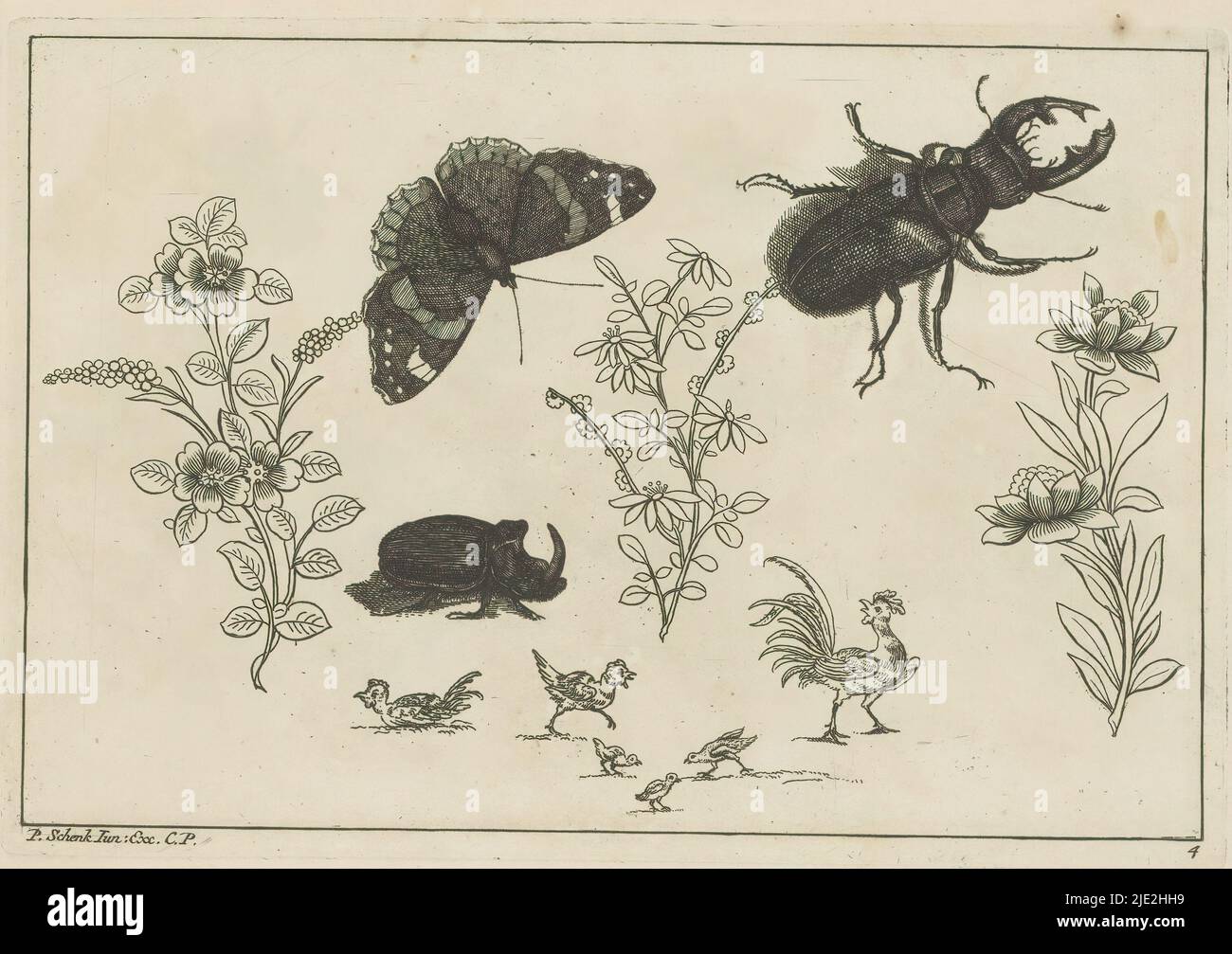 Three flower branches with rhino beetle, butterfly and beetle, Chinese flowers and insects (series title), Three flower branches with rhino beetle, butterfly and beetle. Below a chicken, rooster and chicks. Print is part of an album., print maker: Pieter Schenk (II), after design by: Pieter Schenk (II), publisher: Pieter Schenk (II), (mentioned on object), print maker: Amsterdam, publisher: Leipzig, 1727 - 1775, paper, etching, height 167 mm × width 244 mm Stock Photo