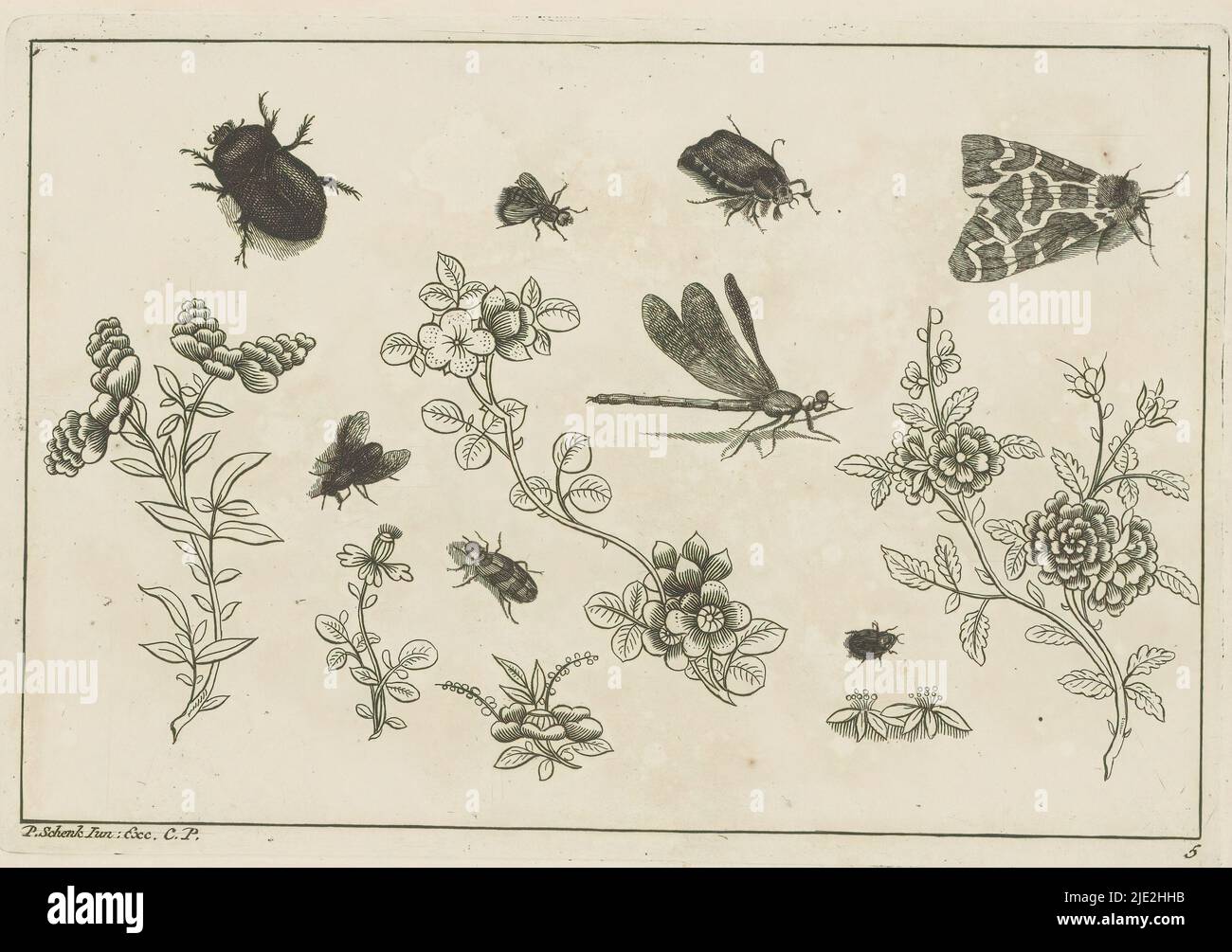 Flower branches with insects, Chinese flowers and insects (series title), Flower branches with various insects, including a fly, beetle and moth. Print is part of an album., print maker: Pieter Schenk (II), after design by: Pieter Schenk (II), publisher: Pieter Schenk (II), (mentioned on object), print maker: Amsterdam, publisher: Leipzig, 1727 - 1775, paper, etching, height 167 mm × width 244 mm Stock Photo
