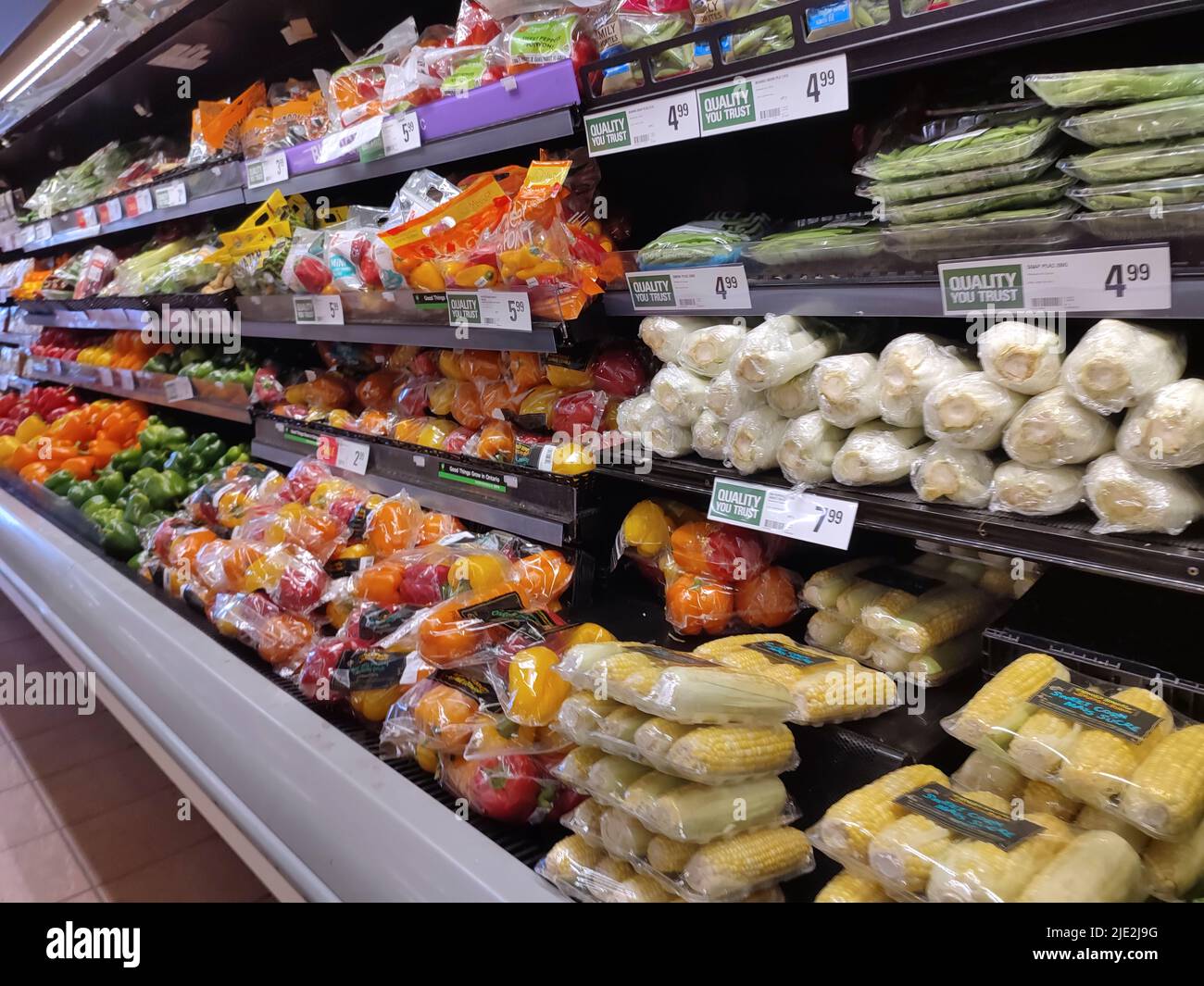 The selection of vegetables was displayed in the local supermarket's ...