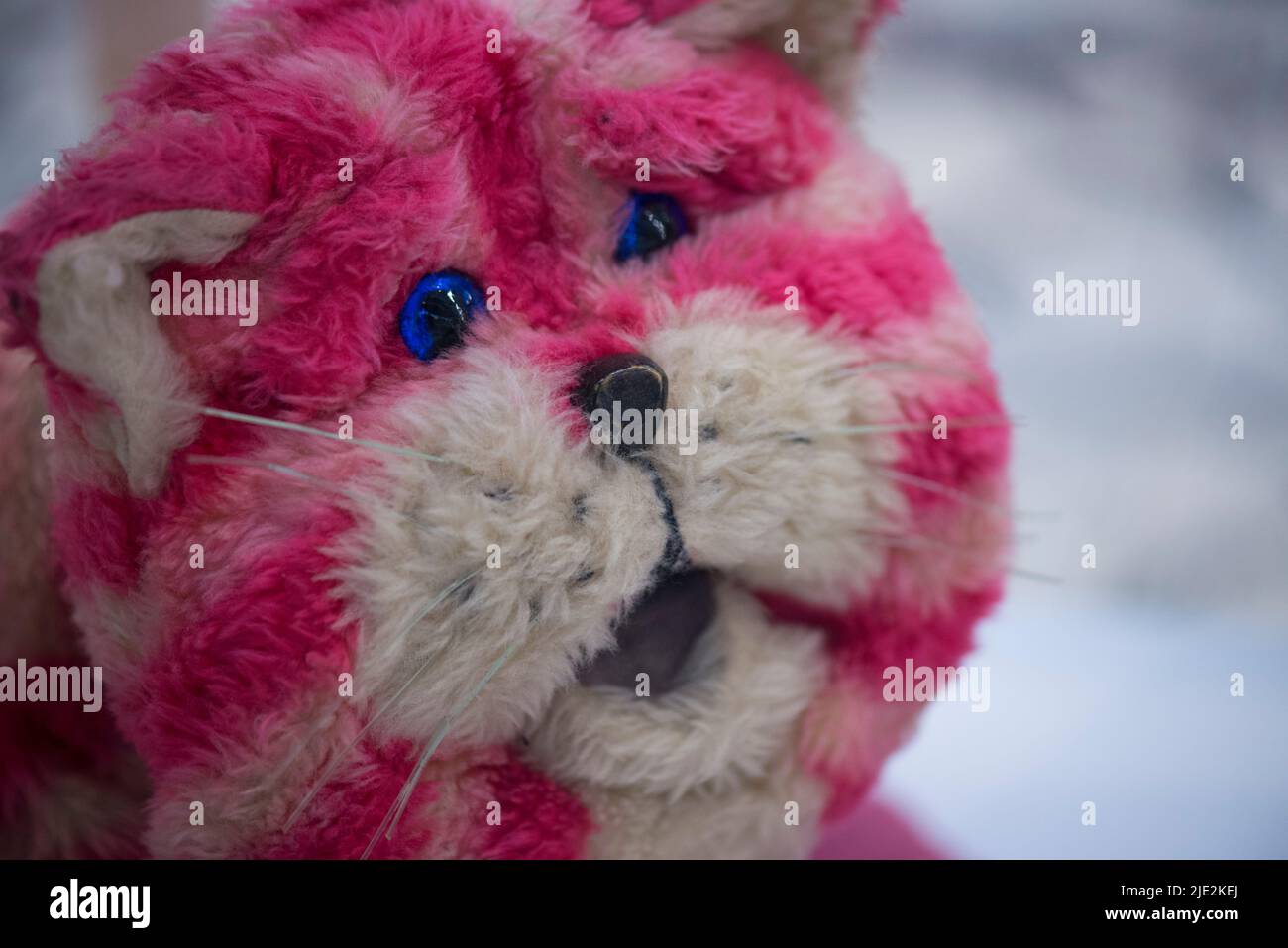 Bagpuss from the tv show of the same name Stock Photo