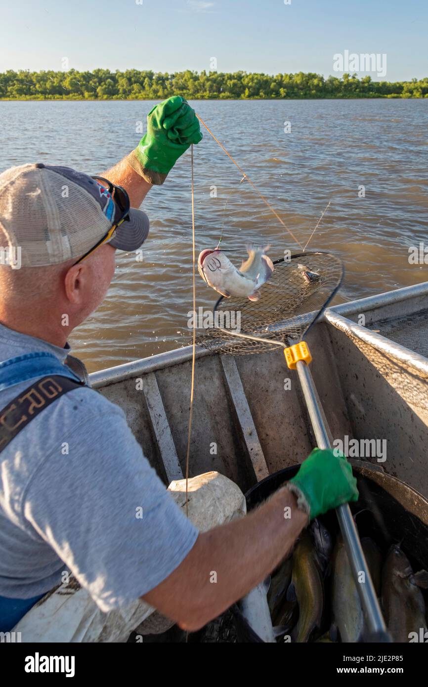 Pontoon Boat Fishing Net Solution with Bait Hook