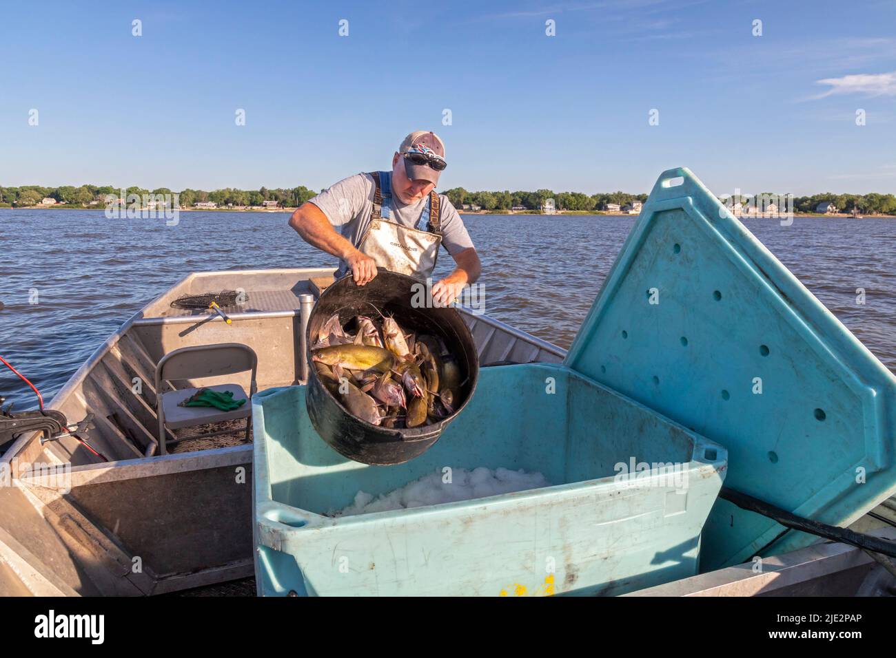 Peoria, Illinois Dave Buchanan loads part of a morning's catch into