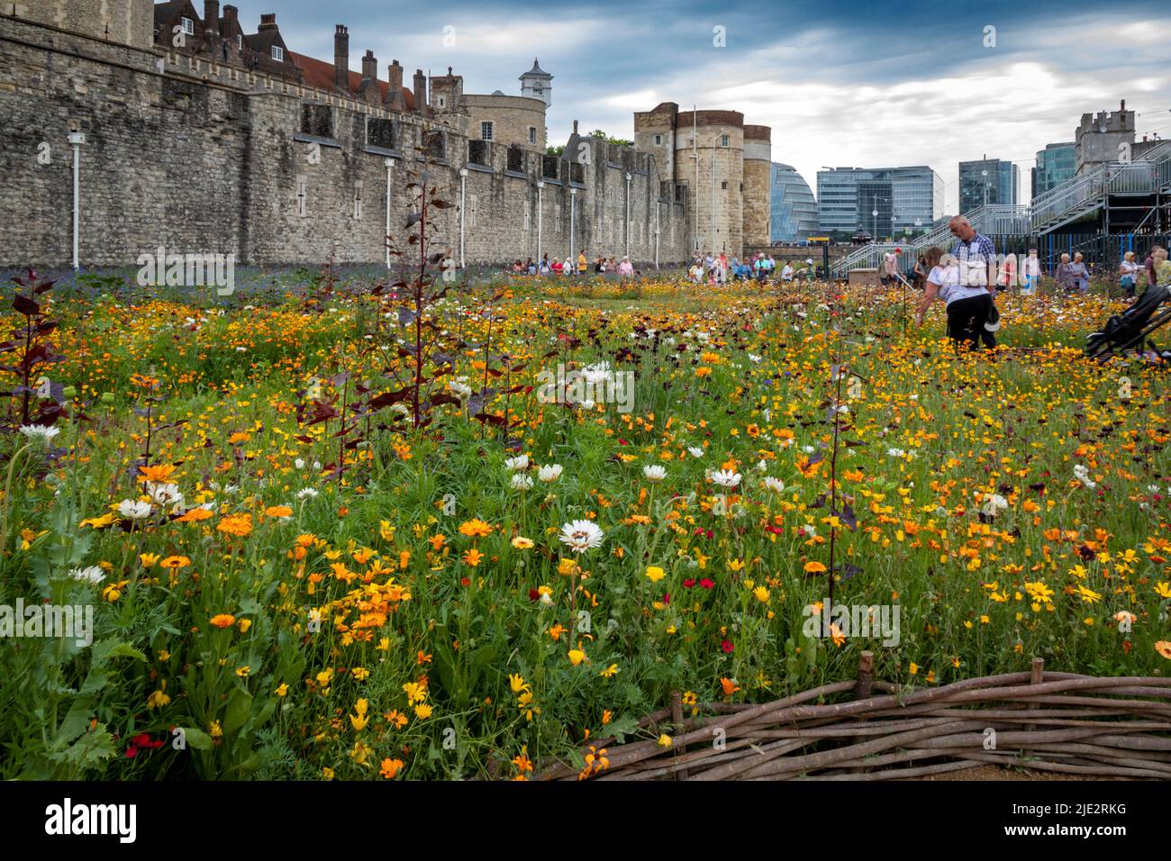 Summer wild flower 'Superbloom' display in the moat at The Tower of London, England celebrating the platinum jubilee year of HM The Queen. Stock Photo