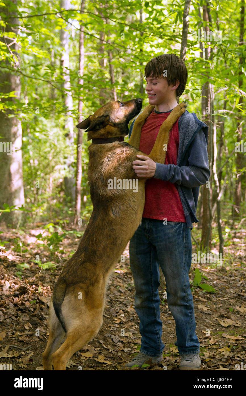 Max dog hi res stock photography and images Page 3 Alamy