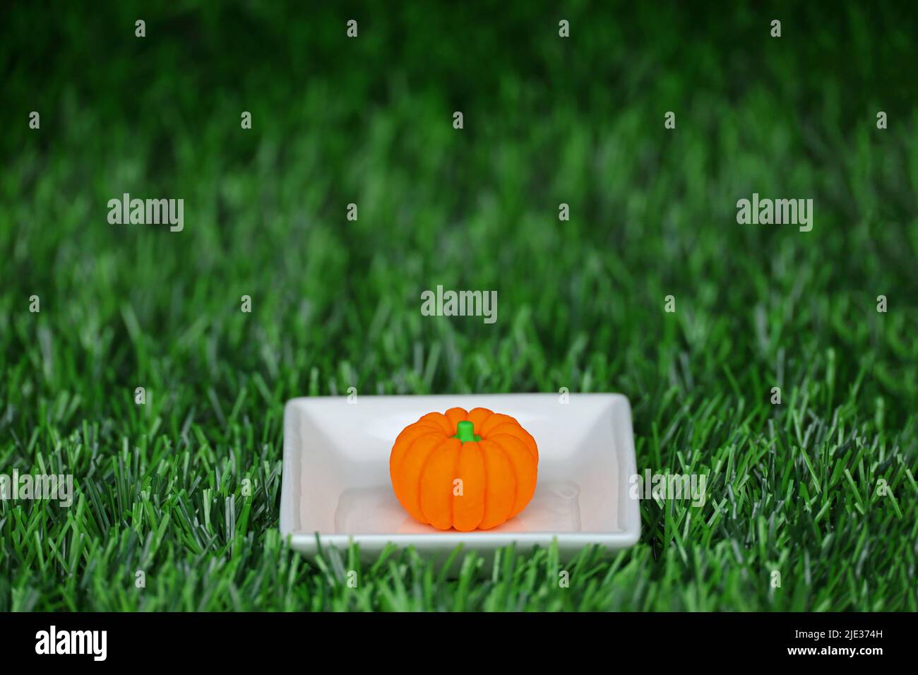 A miniature model of a colorful pumpkin placed on a white square plate Stock Photo