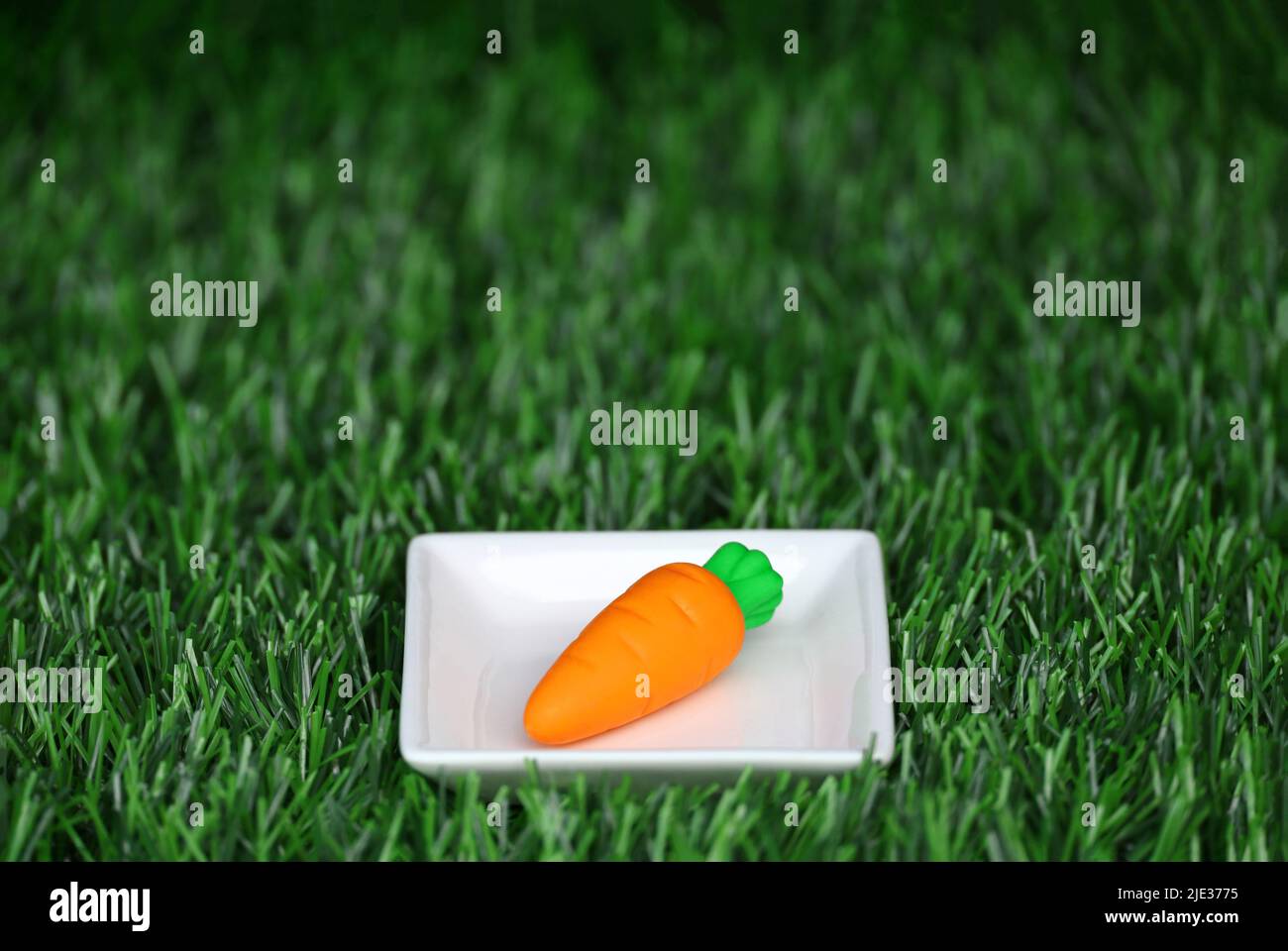 A miniature model of a colorful carrot placed on a white square plate Stock Photo