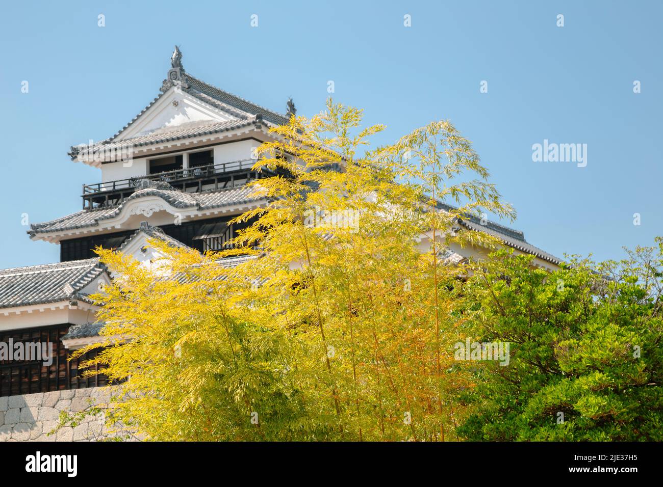 Matsuyama Castle traditional architecture in Japan Stock Photo