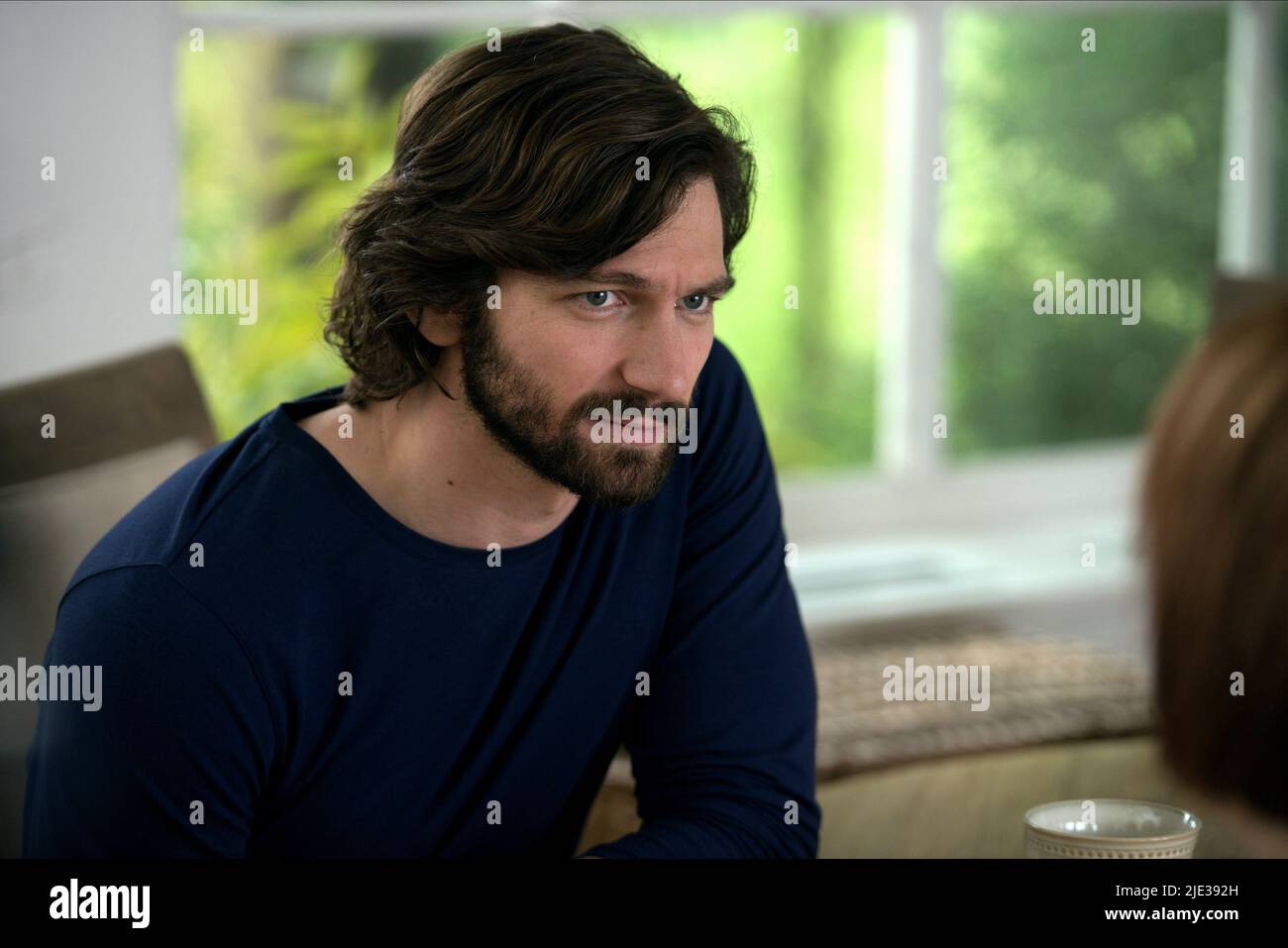 MICHIEL HUISMAN, THE AGE OF ADALINE, 2015 Stock Photo