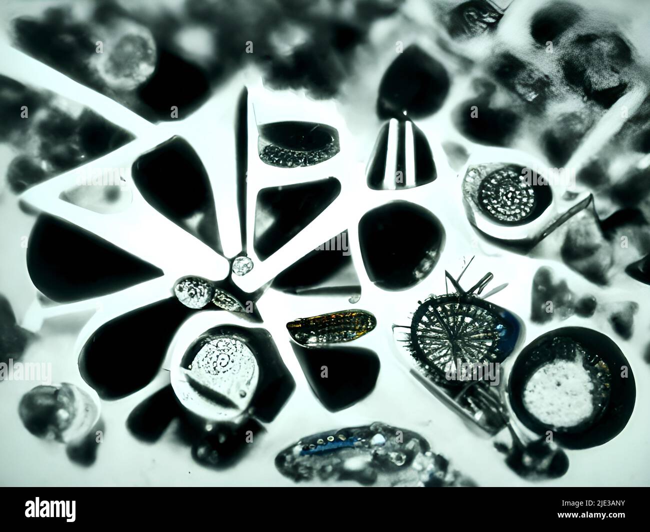 Diatoms under the microscope Stock Photo