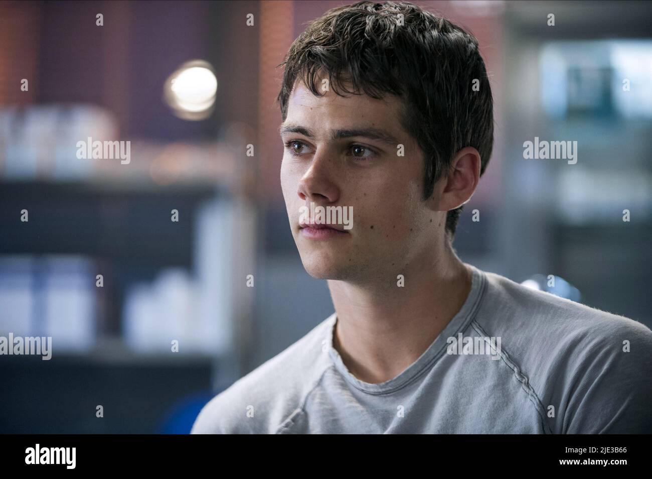 DYLAN O'BRIEN, MAZE RUNNER THE SCORCH TRIALS, 2015 Stock Photo Alamy
