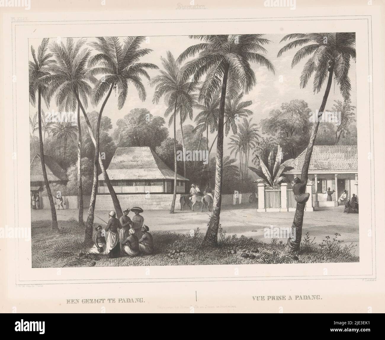 Street and houses in Padang, A view at Padang (title on object), Sumatra  (series title on object), Gezigten uit Neêrlands Indië (series title on  object), Between the trees men stand and sit