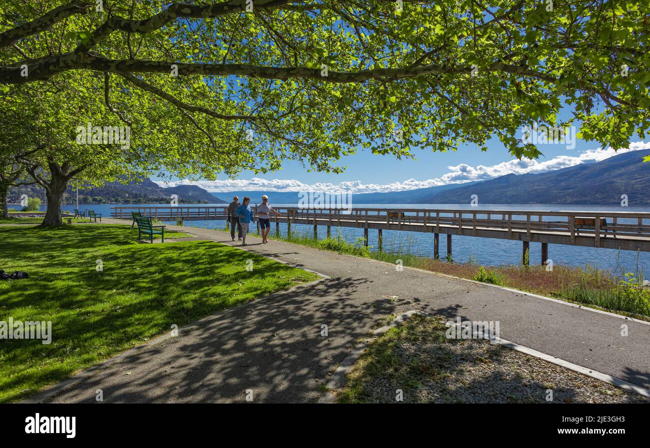 People walking in the summer park. Beautiful alley in park at sunny morning. Elderly people walking in a green park. Peachland BC Canada-June 7,2022-T Stock Photo