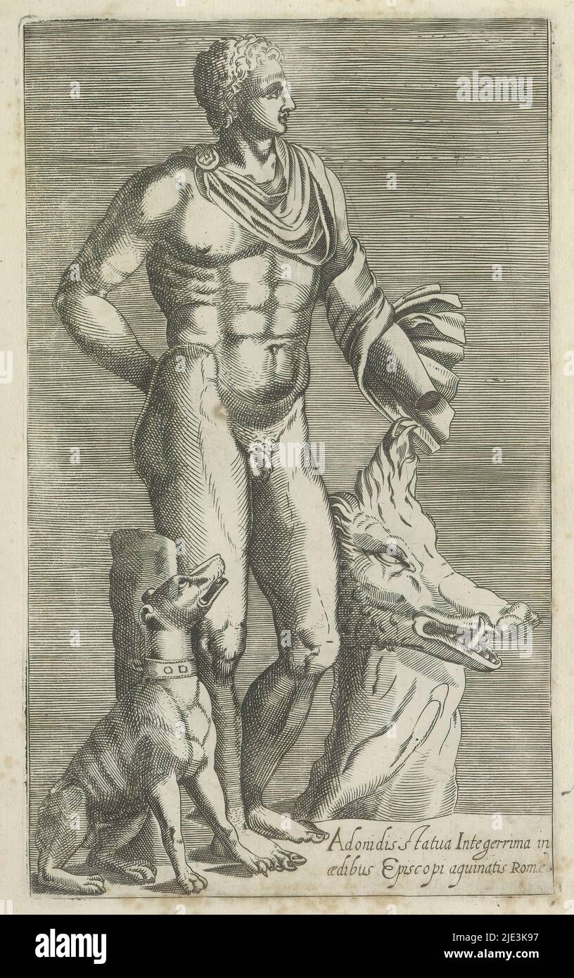 Aedibus episcopi aguinatis romae hi-res stock photography and images ...