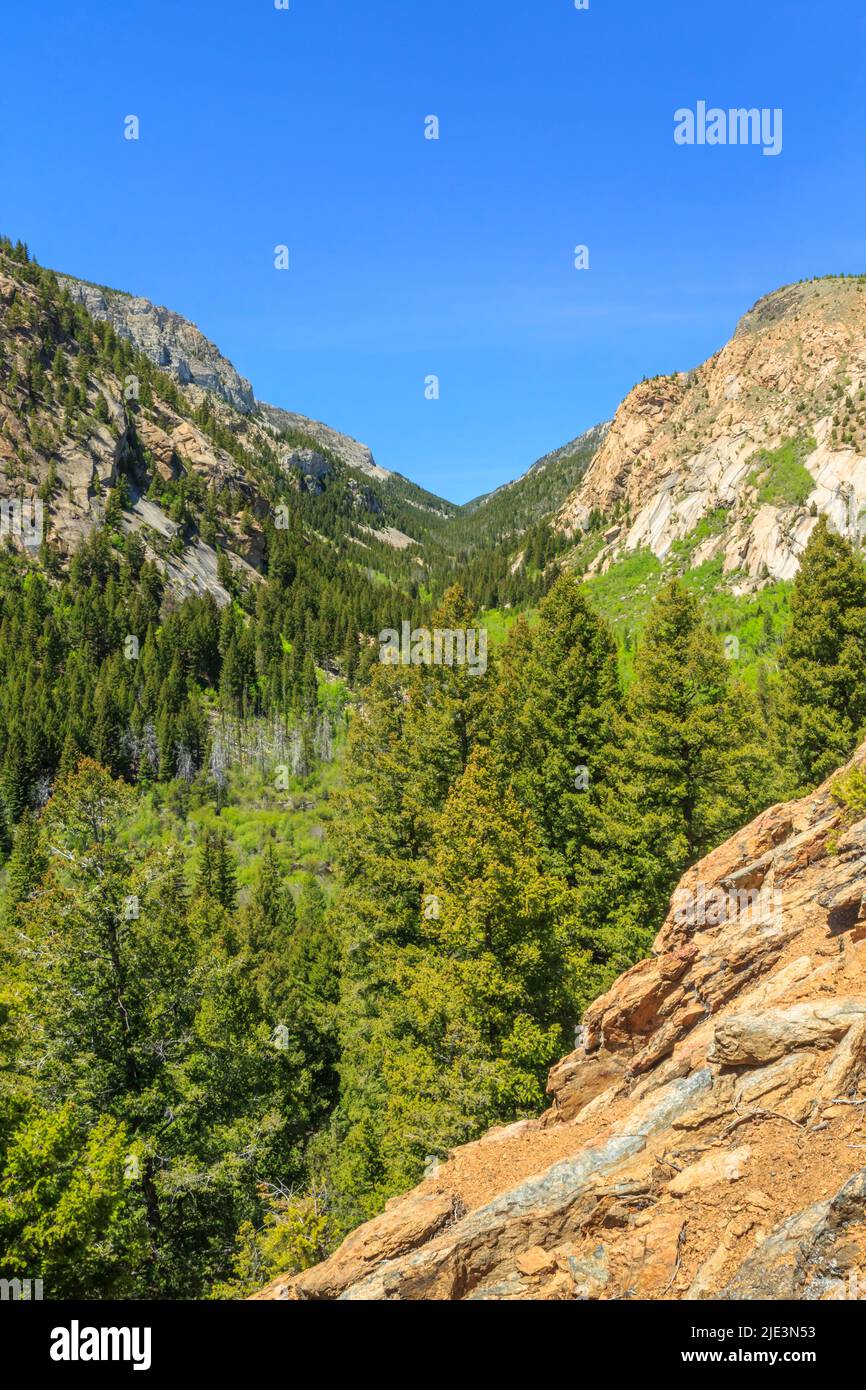 lost creek canyon at lost creek state park near anaconda, montana Stock