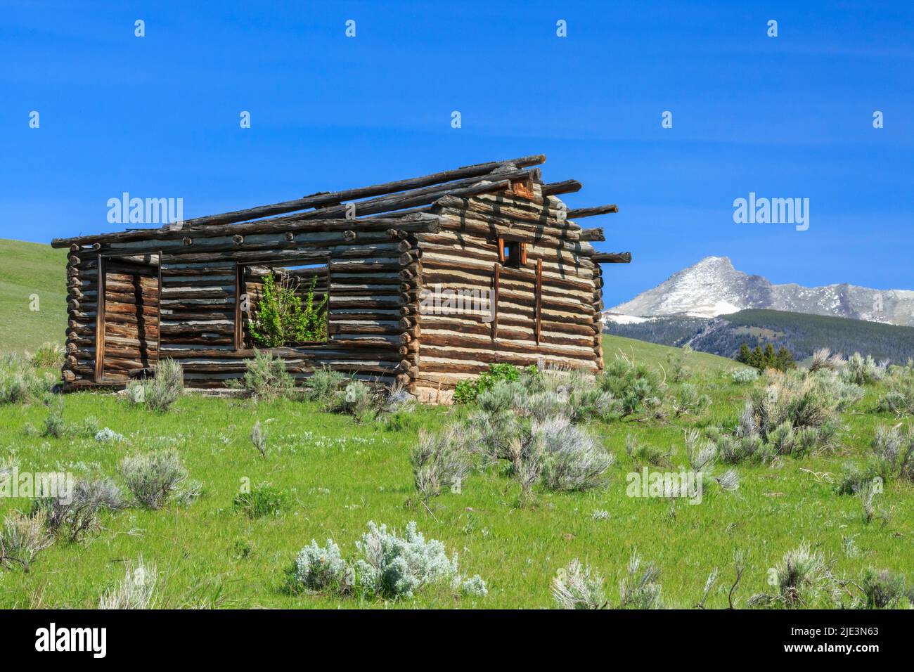 Mt d9266 hires stock photography and images Alamy