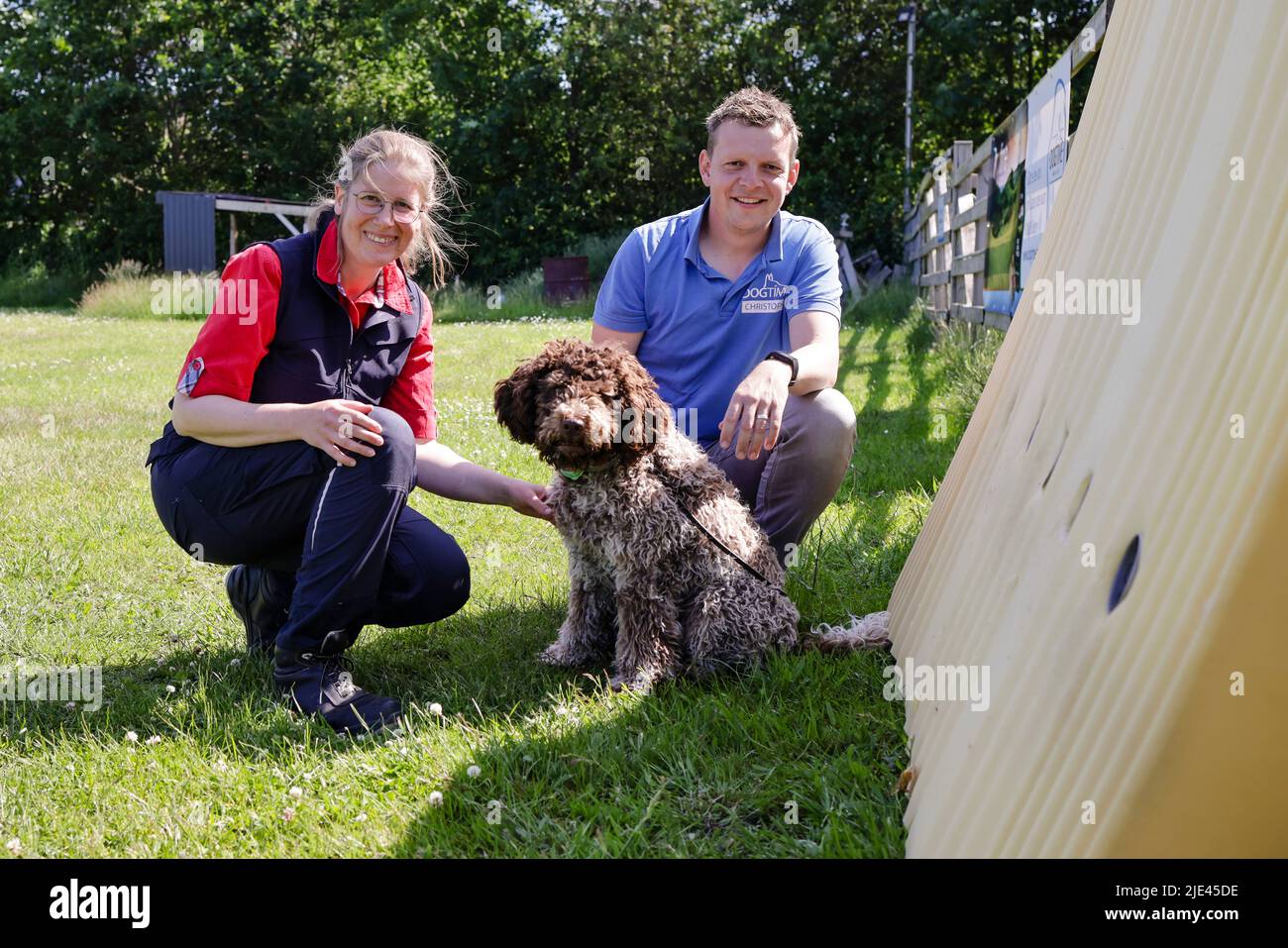 Bed bug detection dog hires stock photography and images Alamy