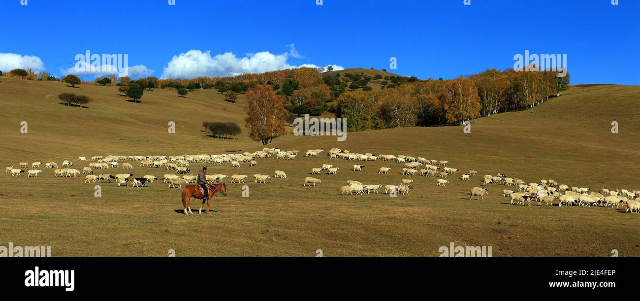 System in Inner Mongolia hexigten WuLanBu grassland Abraham dam Beijing garden landscape plants Stock Photo