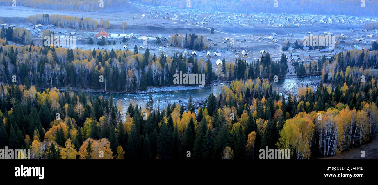 Xinjiang burqin county altay region the wood grain the progeny of western China Stock Photo