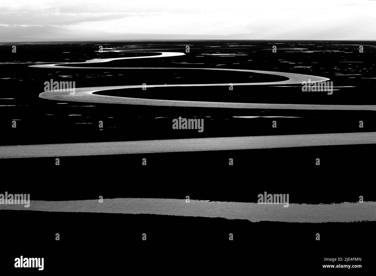 Hydrophytes Black and White Stock Photos & Images - Alamy