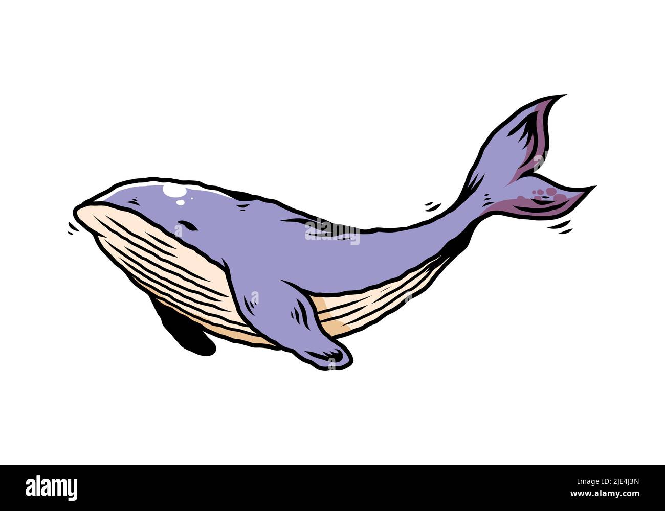 Illustration design of The big whale of ocean Stock Vector Image & Art ...