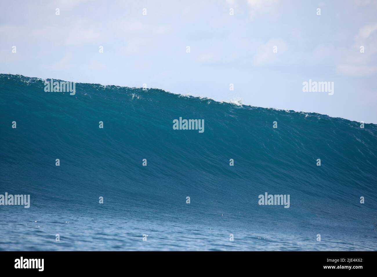 An empty giant wave about to break on a shallow coral reef in the Mentawai Islands - Indonesia. Stock Photo