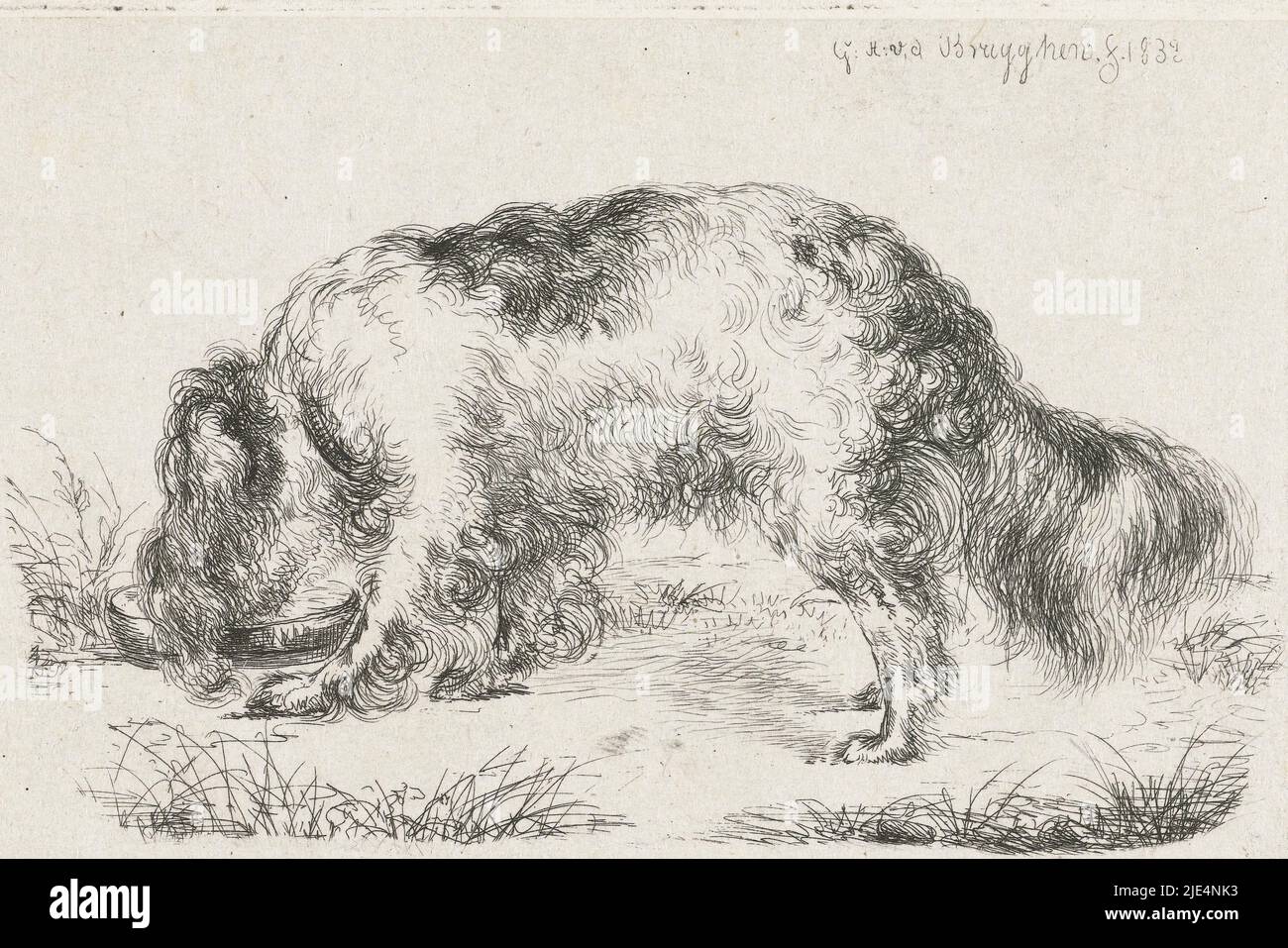 Drinking dog, print maker: Guillaume Anne van der Brugghen, (mentioned on object), Guillaume Anne van der Brugghen, 1832, paper, etching, h 80 mm × w 120 mm Stock Photo