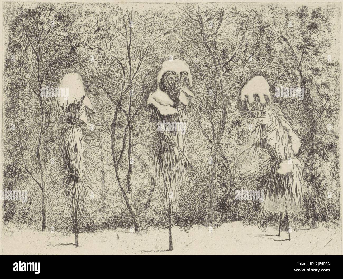 Three against the frost with straw packed stem roses, covered with snow. The captions identify the rose bushes with figures from the Franco-German war: François Certain Canrobert and Mathilde Bonaparte, Fantasy composition relating to the Franco-German war Mes rosiers and hiver., print maker: Louis Charles Hora Siccama, (mentioned on object), 1876, paper, etching, drypoint, h 147 mm × w 180 mm Stock Photo