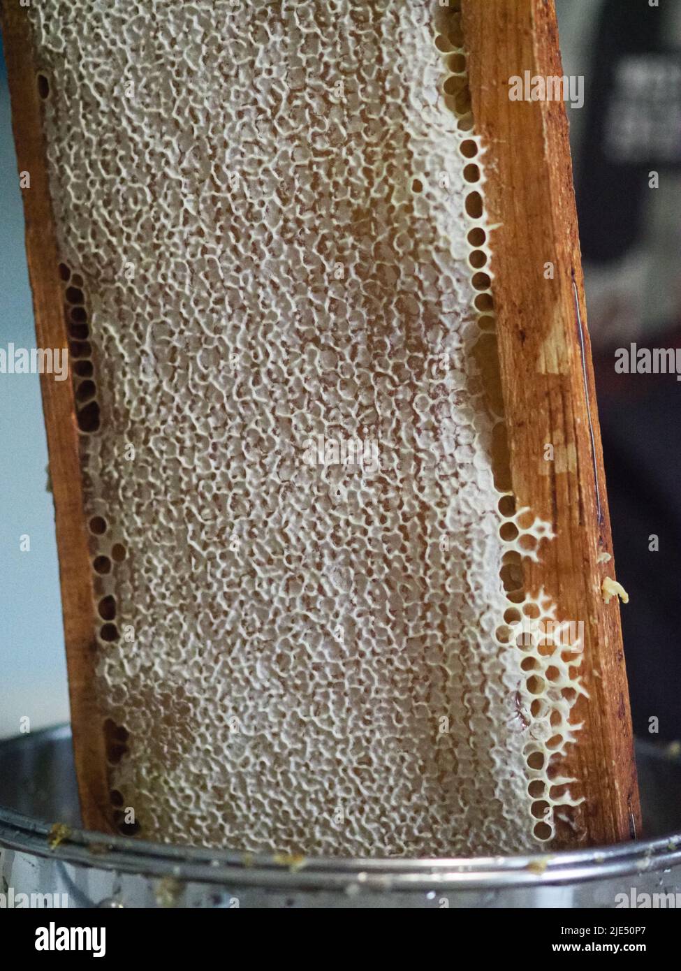 Natural raw honey being filtered ad dripped through a strainer to filter our bees wax Stock