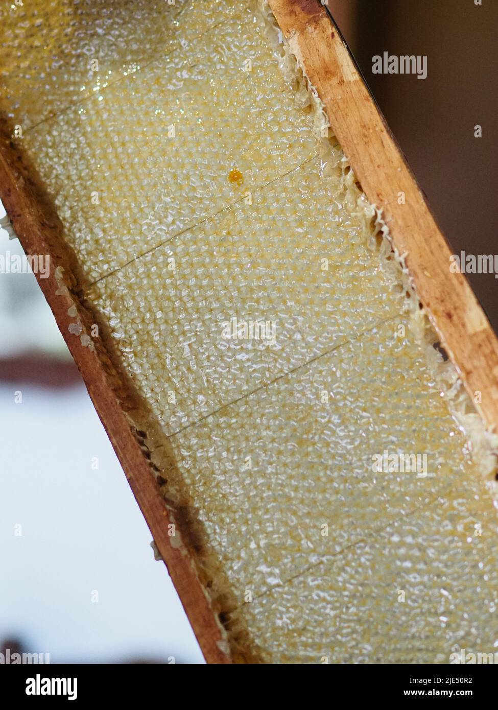 Natural raw honey being filtered ad dripped through a strainer to filter our bees wax. Stock Photo