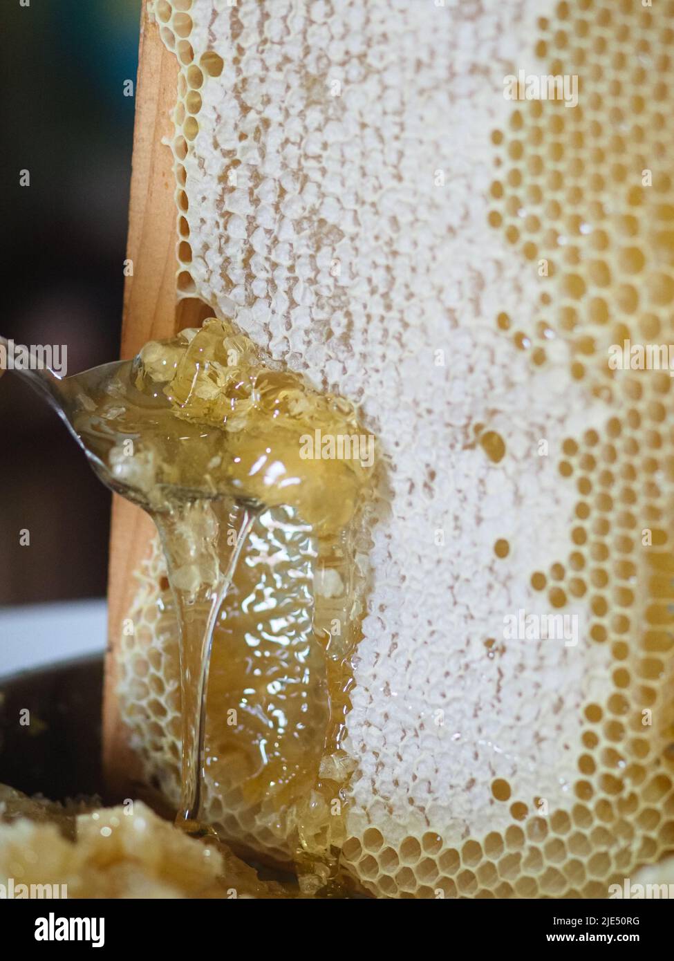 Natural raw honey being filtered ad dripped through a strainer to